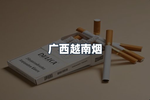 广西越南烟